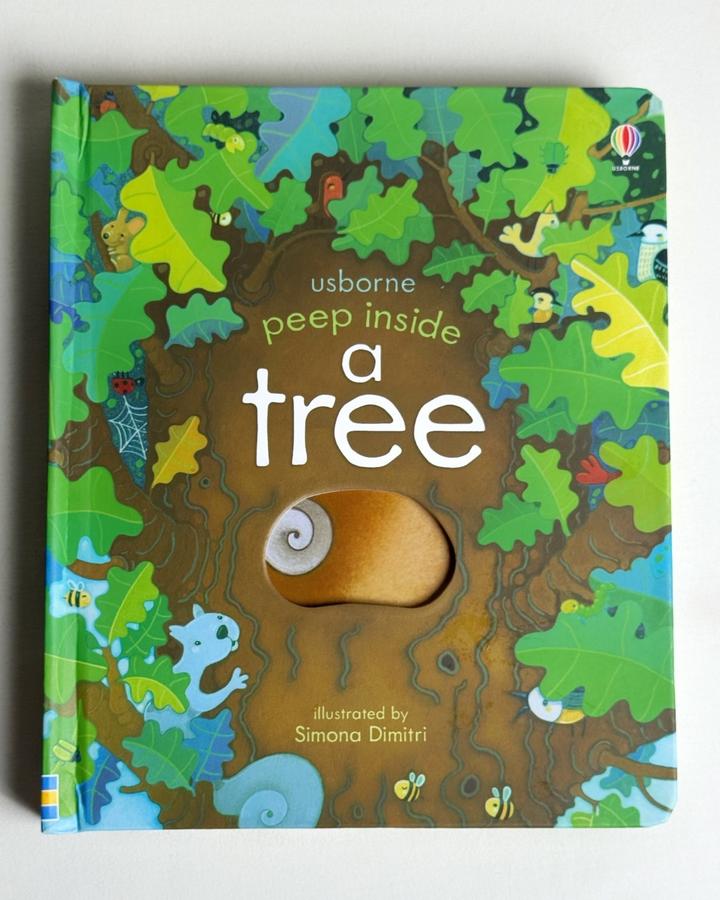 peep inside a tree