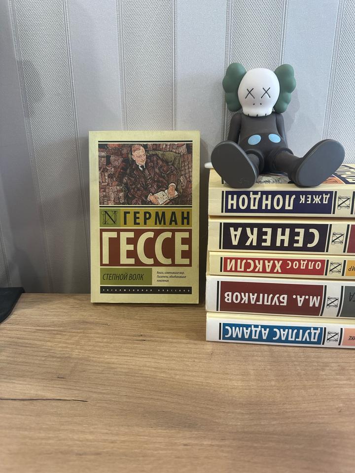Книга Степной волк