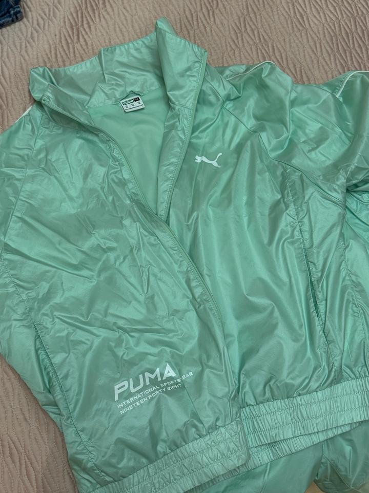 Puma
