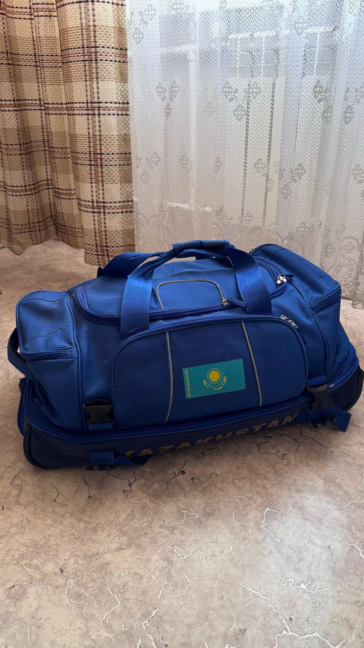Дорожная сумка на колесах