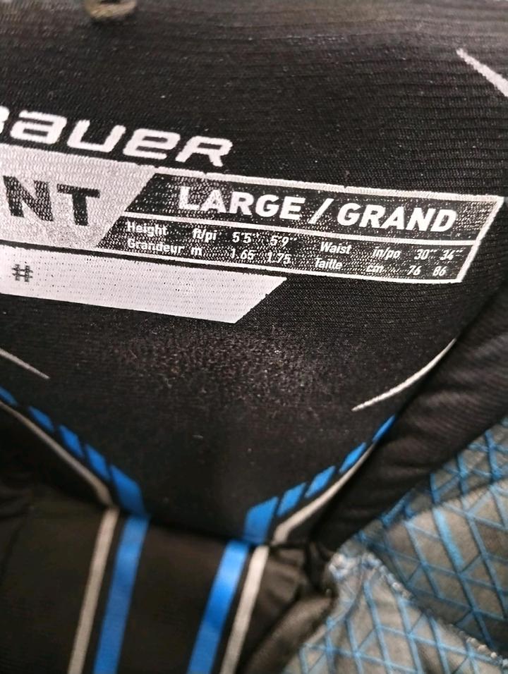 Шорты Bauer