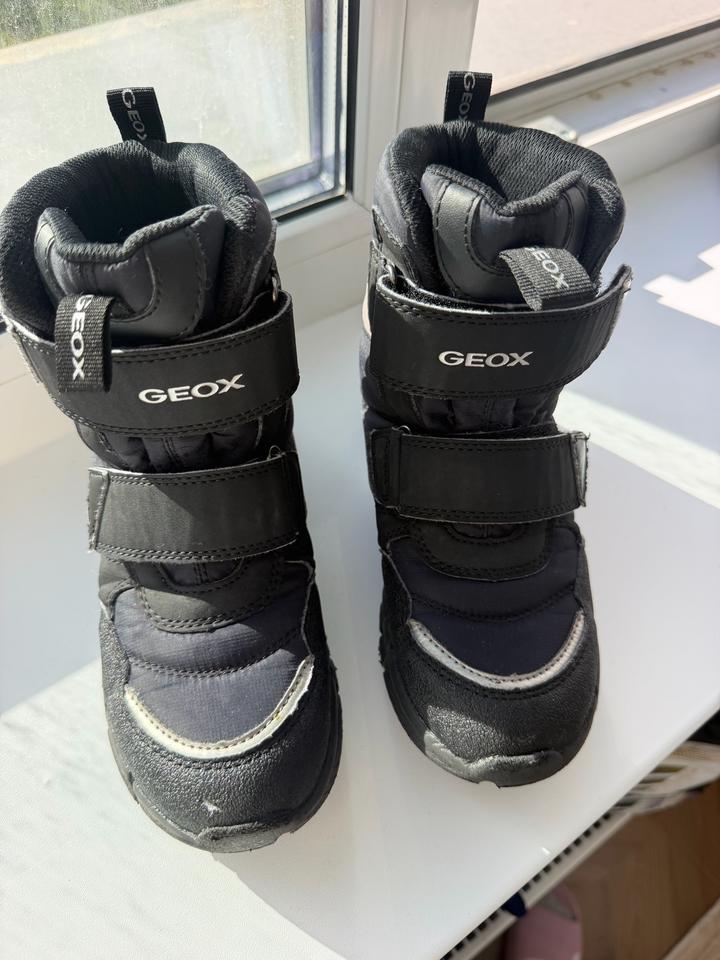 Ботинки Geox
