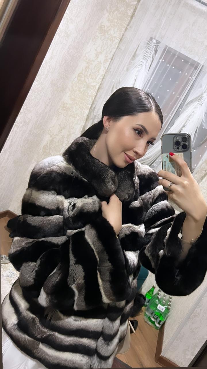 шиншилла