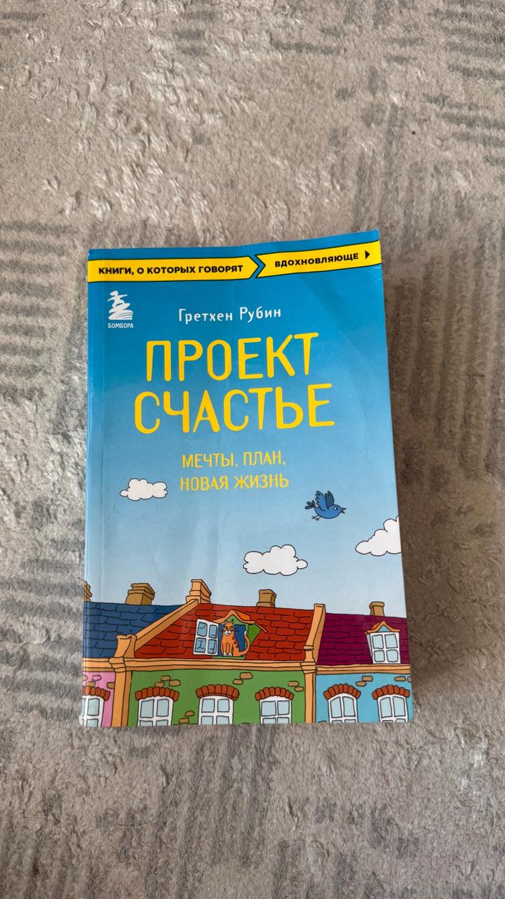 Проект Счастье. Мечты, план, новая жизнь
