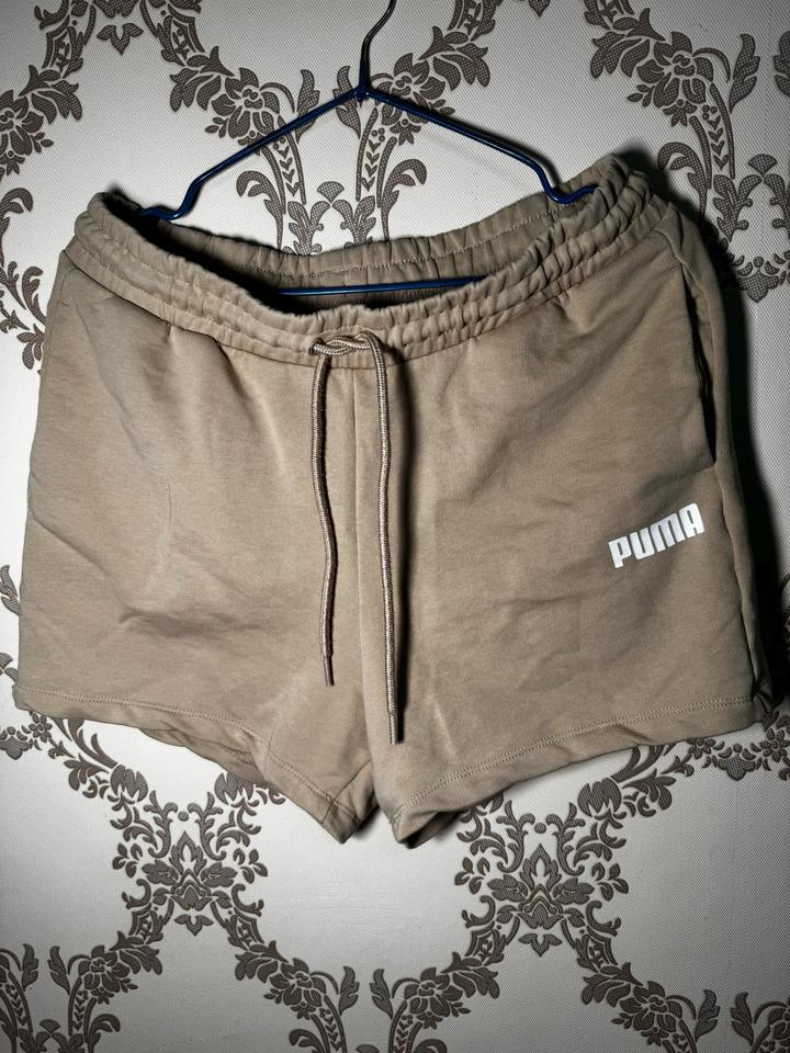 Puma