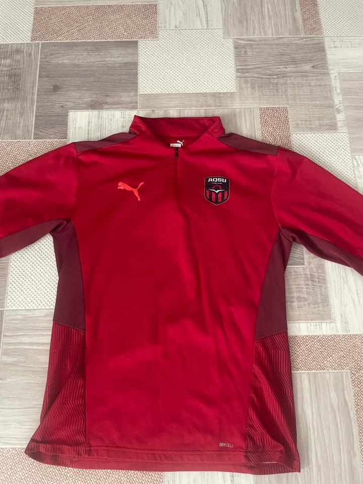 Puma