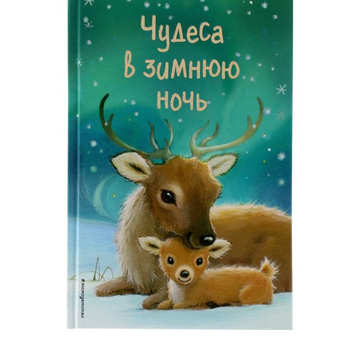 Чудеса в зимнюю ночь