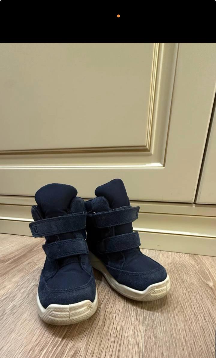Зимние сапоги  детские ECCO