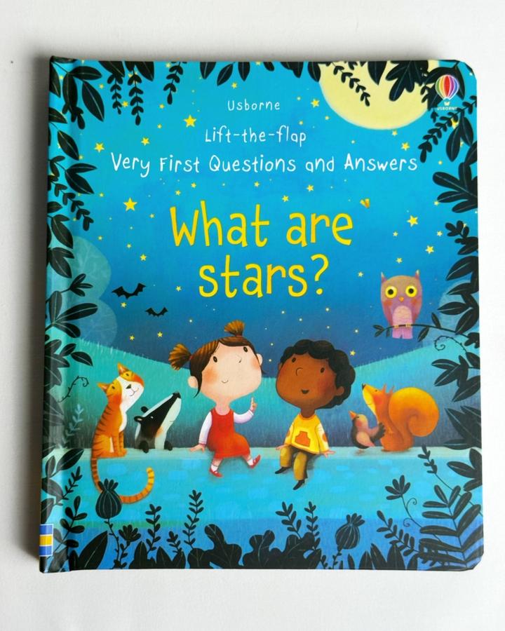 Lift-the-Flap Very First Questions and Answers: What are stars?