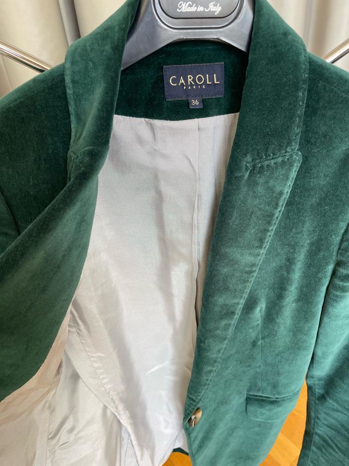 Бархатный Пиджак Caroll