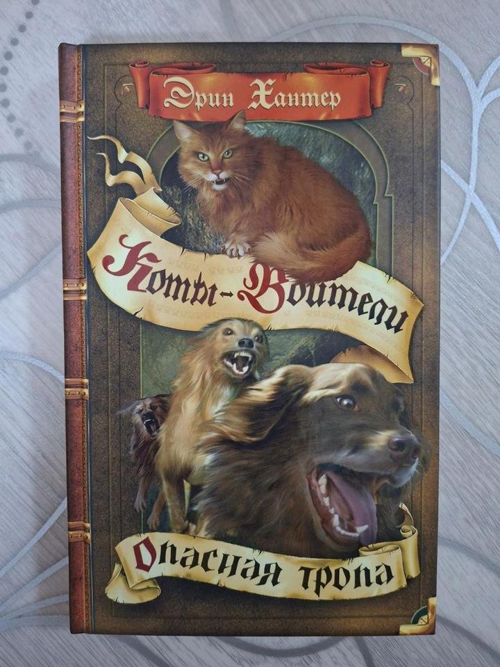 Коты Воители