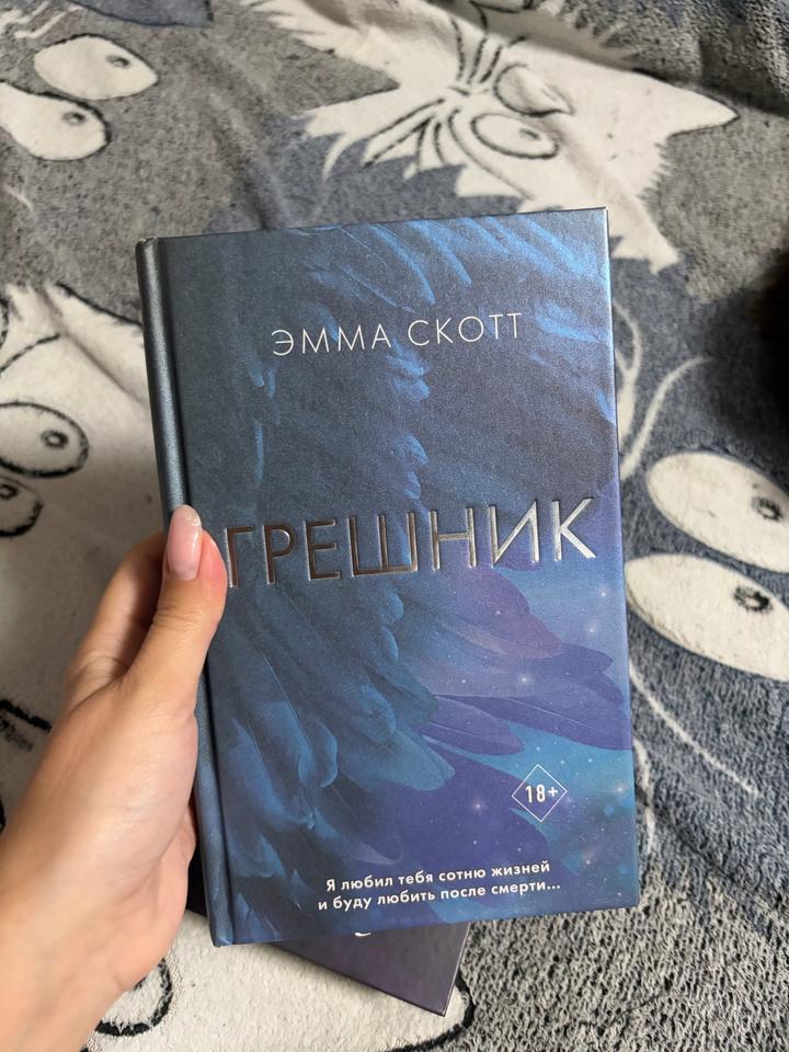 Книга «Грешник»