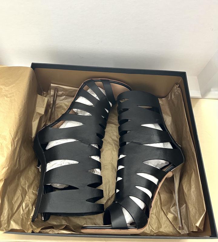 Guiseppe Zanotti