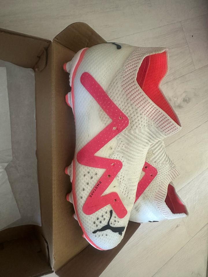 Puma