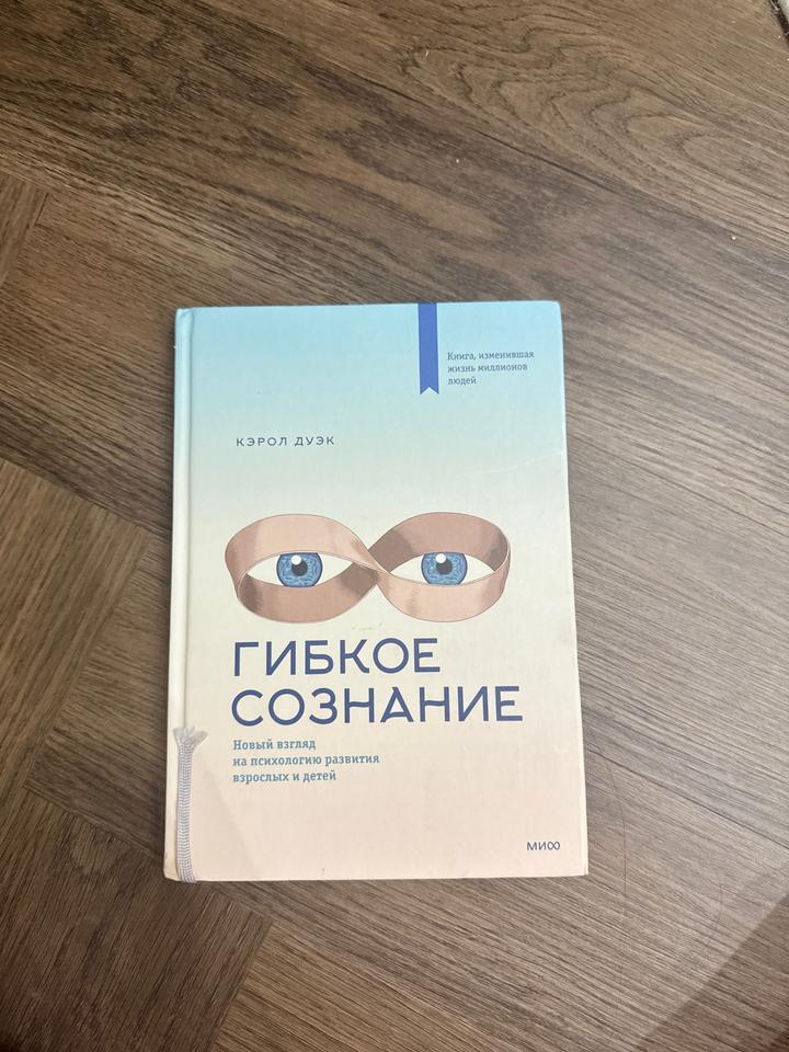 Гипкое сознание книга
