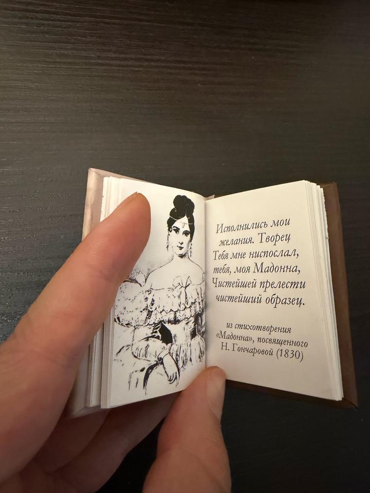 Мини-книжка магнит: Ай да Пушкин!  📓✍️