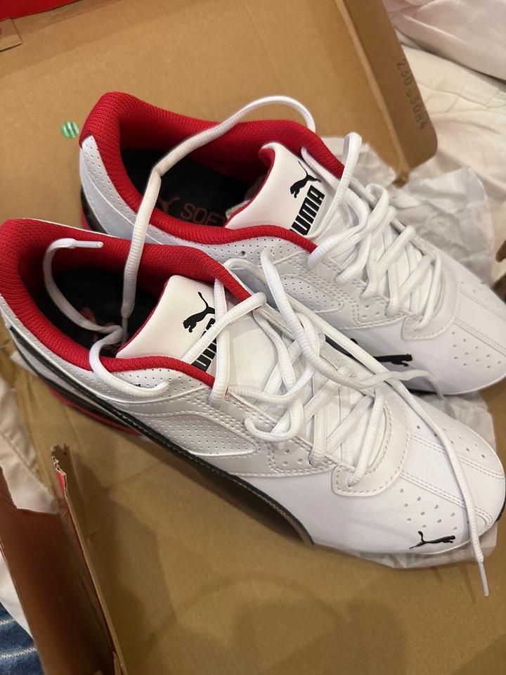 Puma