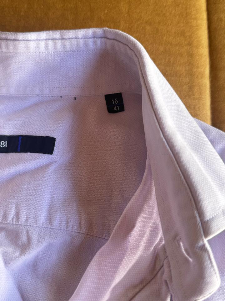 Cerruti 1881