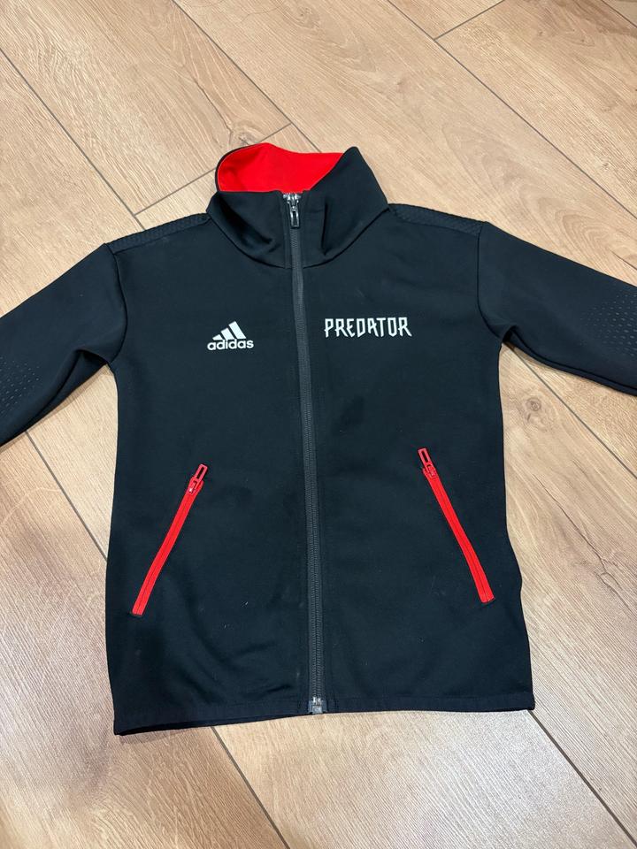 Спортивная кофта adidas Predator