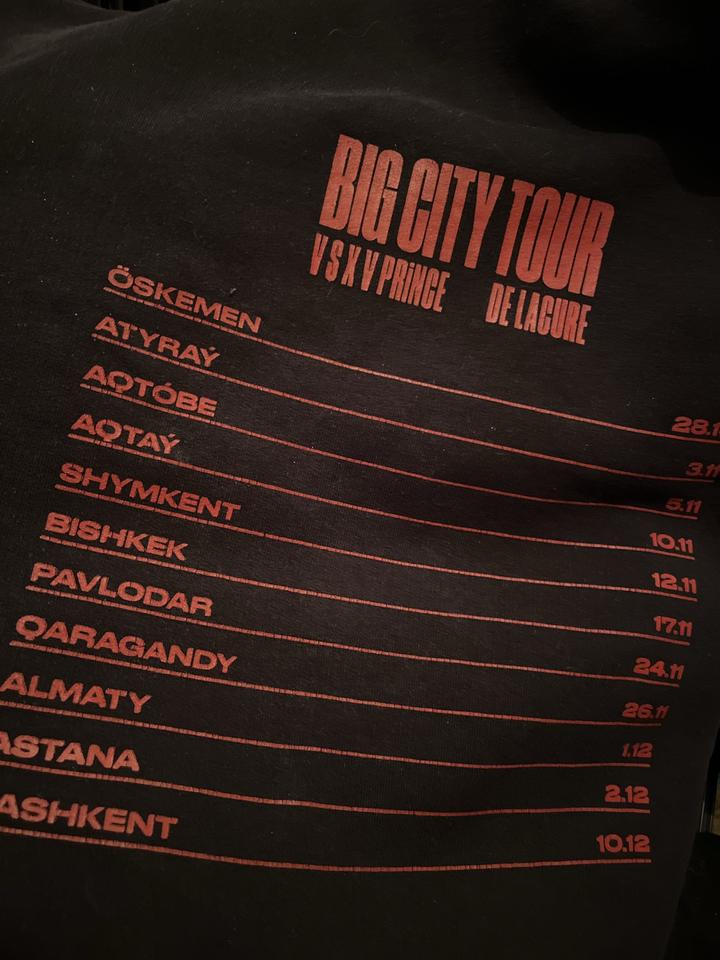 Худи с принтом Big City Tour