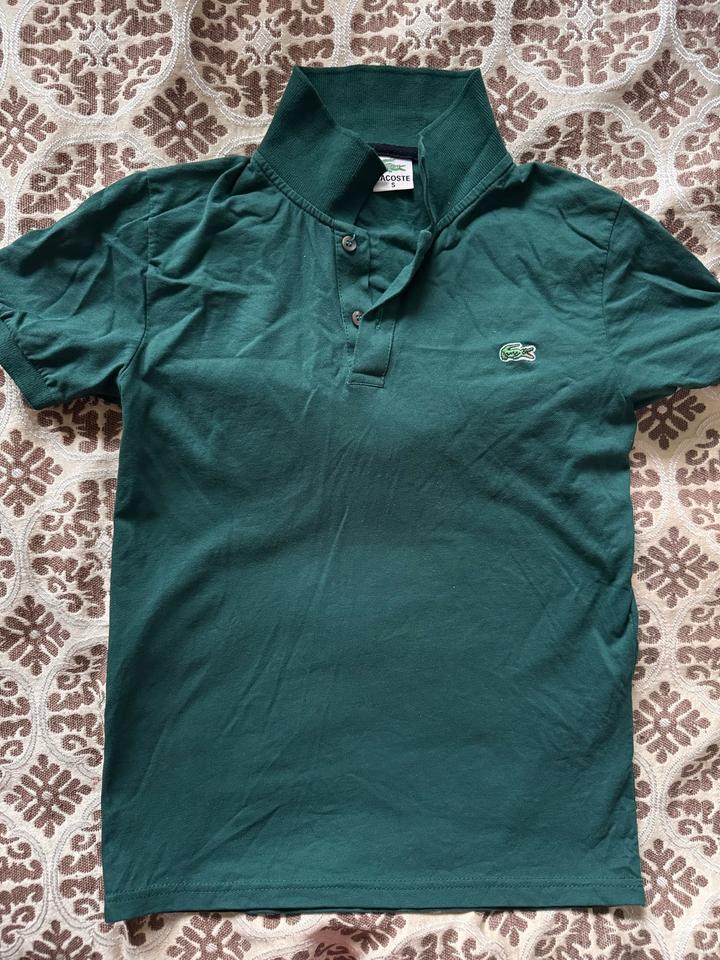 Поло Lacoste