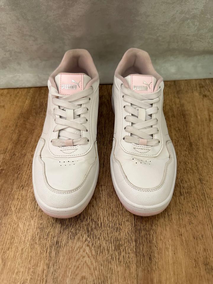 Puma