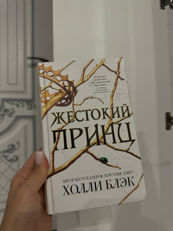 Жестокий принц, книга