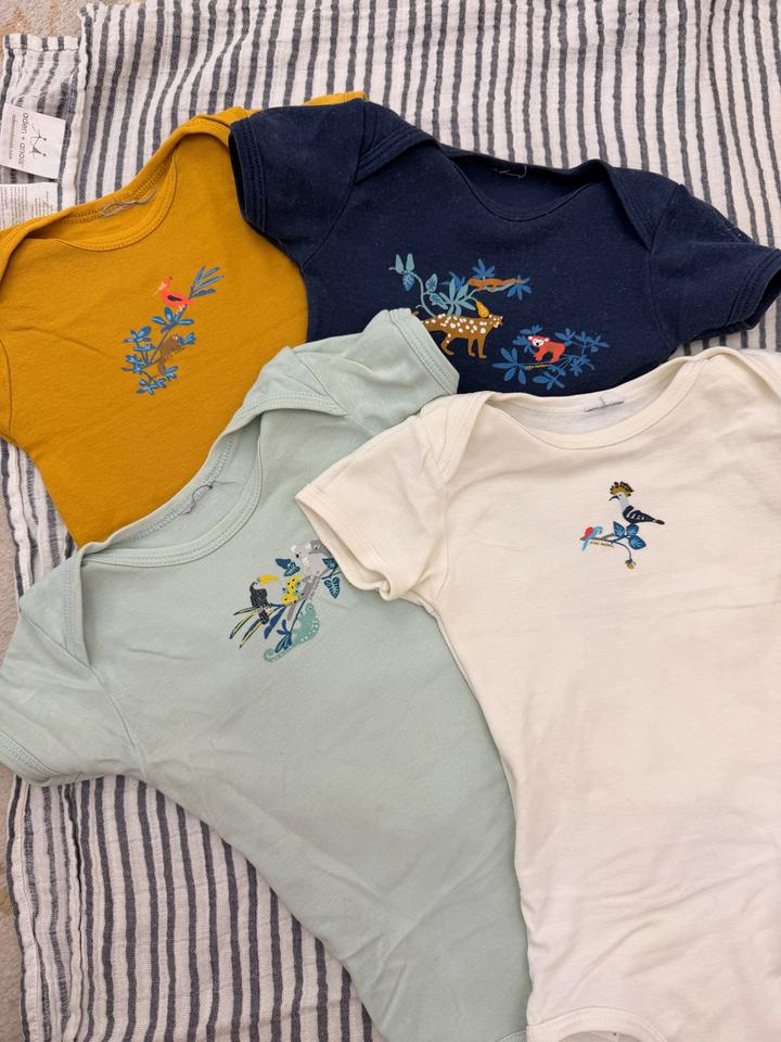 Petit Bateau