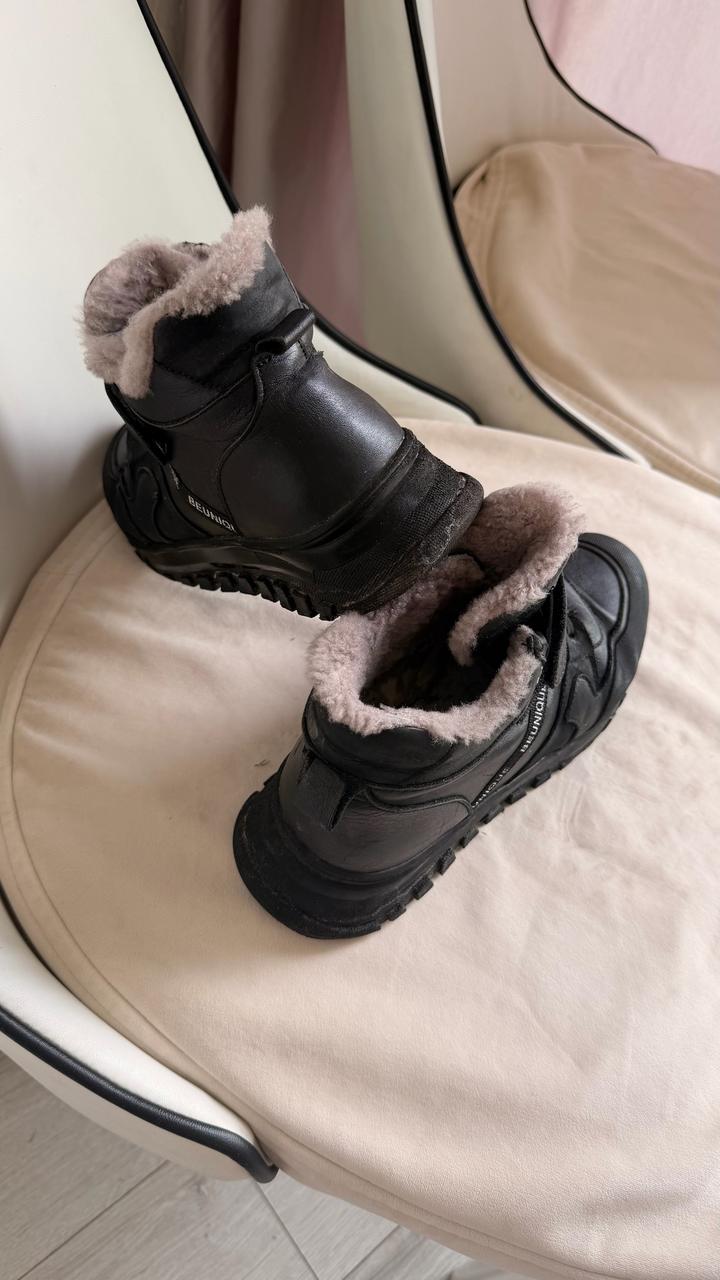 Tutubi