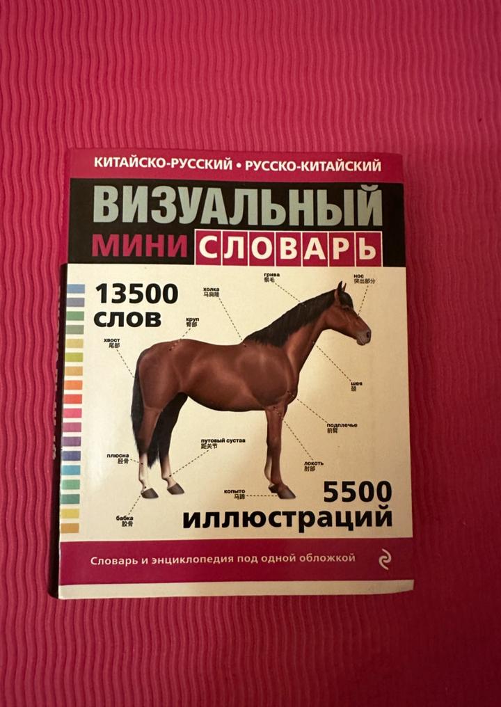 Китайско-русский / русско-китайский визуальный мини-словарь