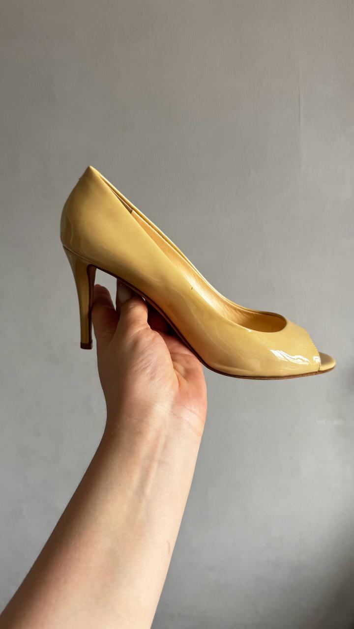 Giuseppe Zanotti