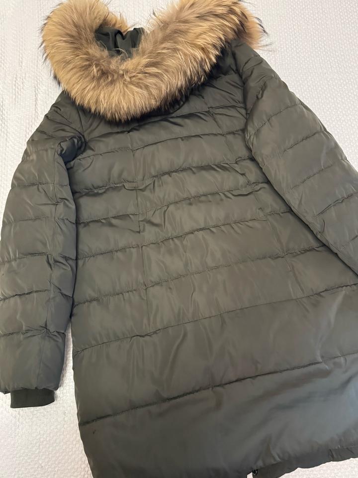 snow owl