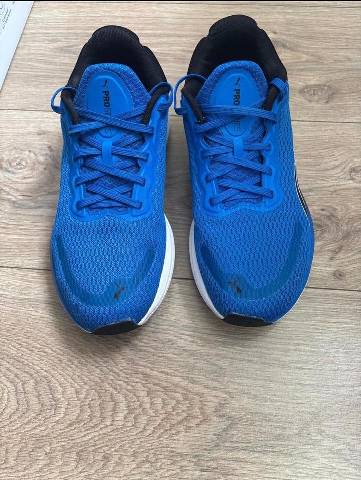 Puma