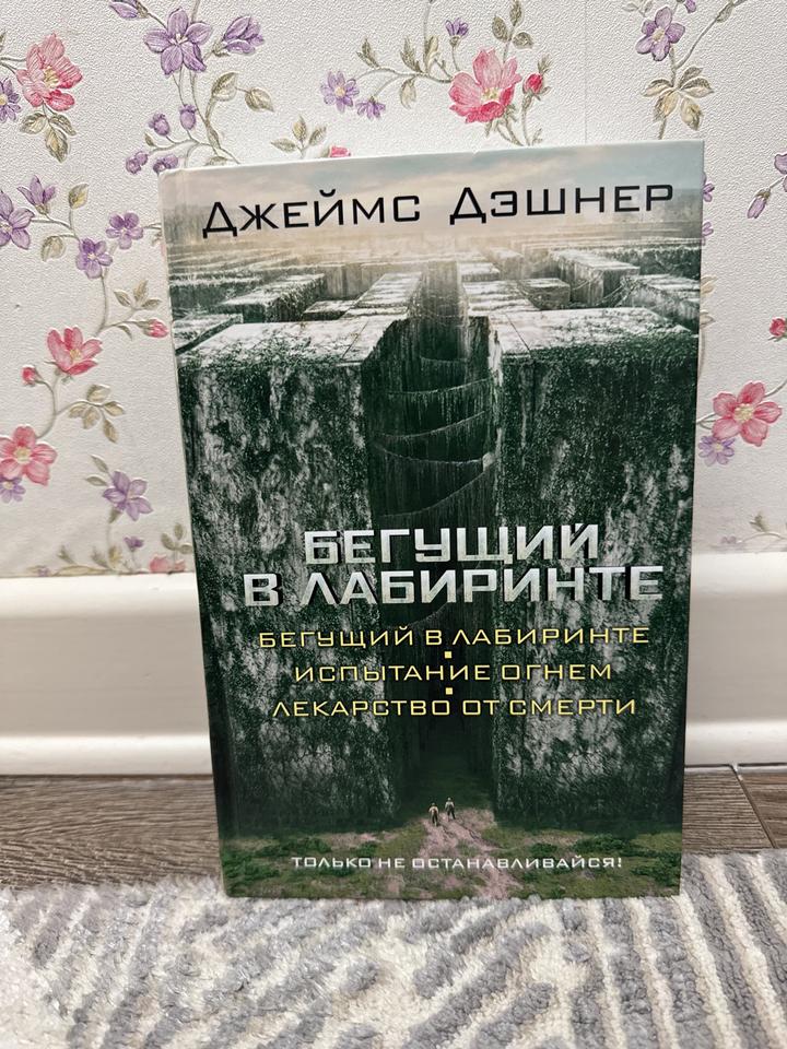 Бегущий в лабиринте
