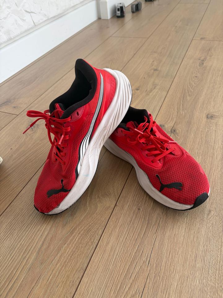 Puma