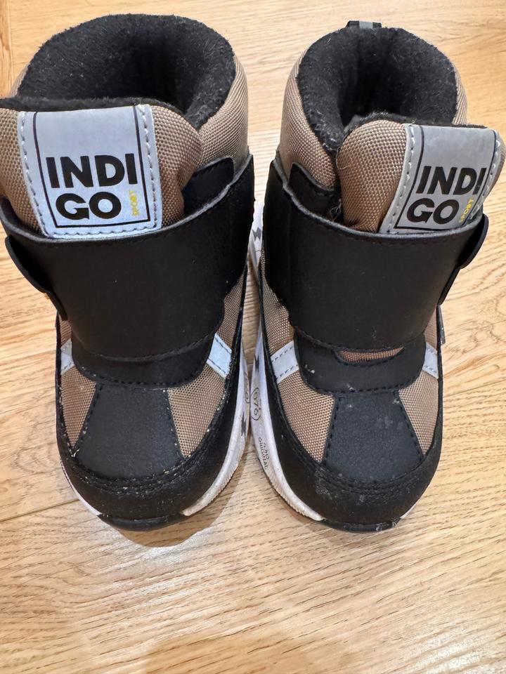 Indigo Kids