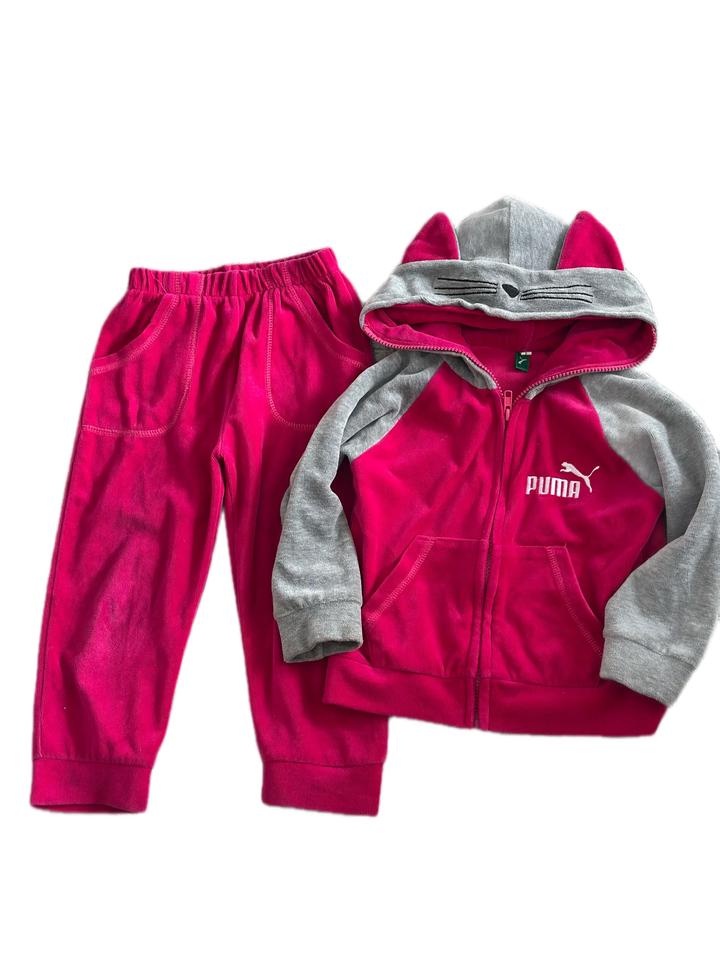 Puma
