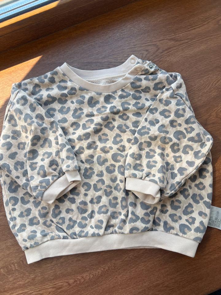 H&M