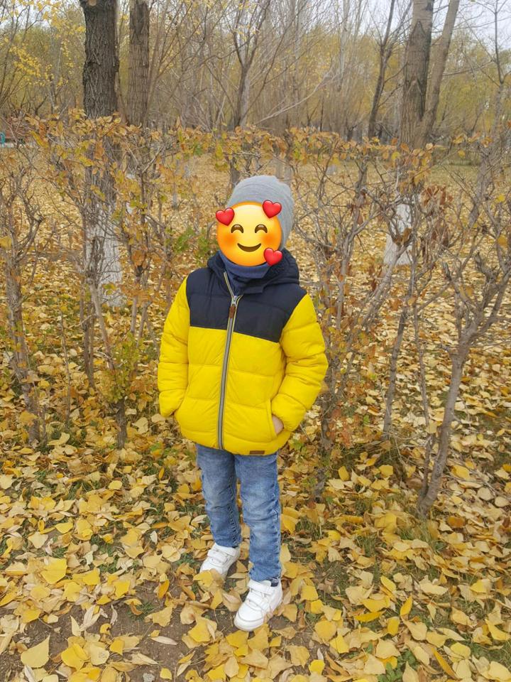 Детская дутая куртка NEXT, 4–5 лет, рост 110 см