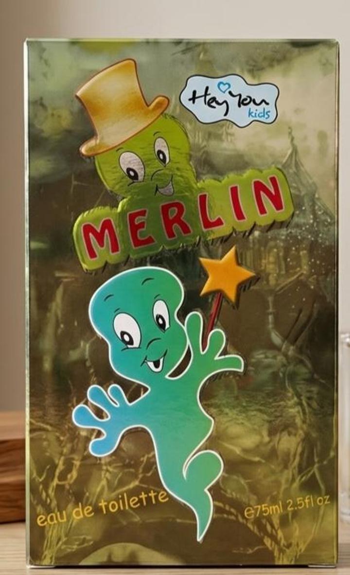 Baby Merlin