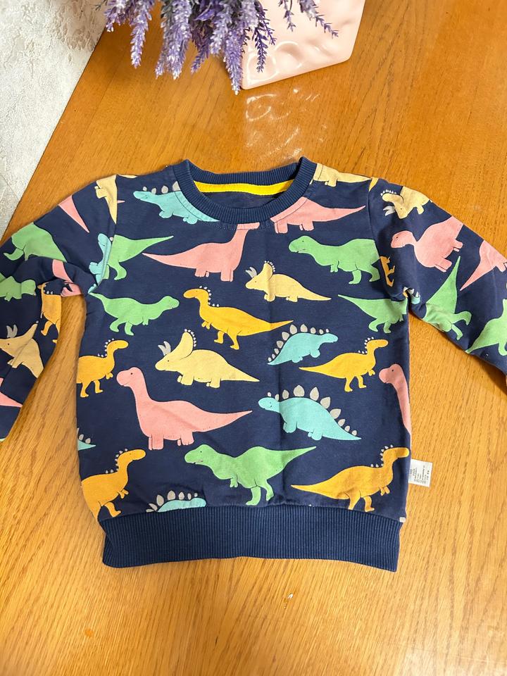 Свитшот с принтом динозавров