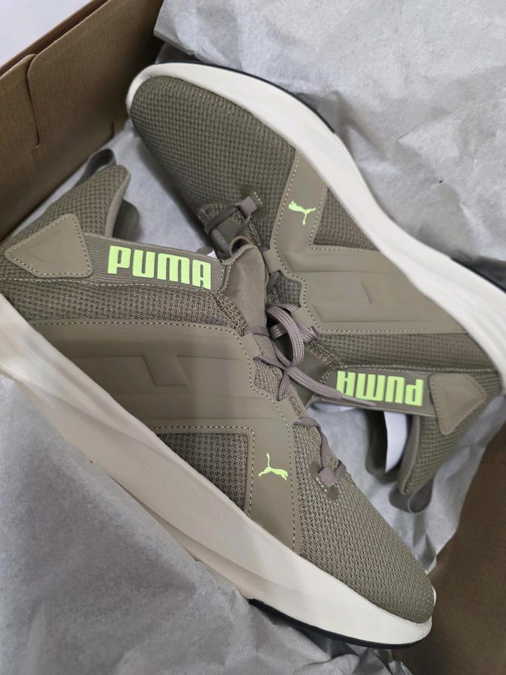 Puma