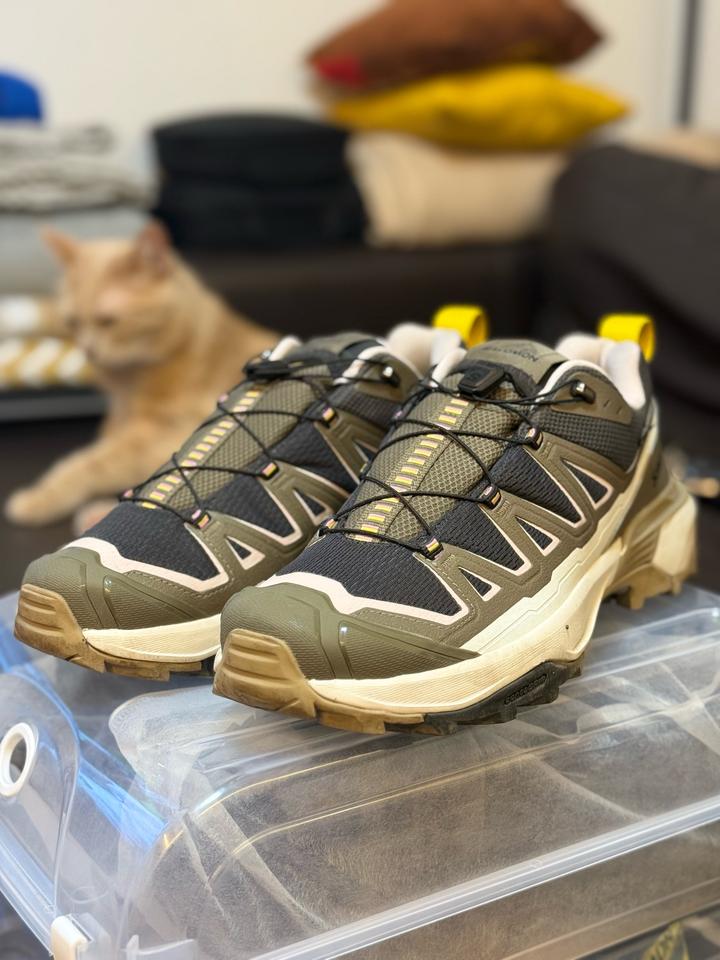 Salomon X Ultra 360 Edge GTX — треккинговые кроссовки 43⅓