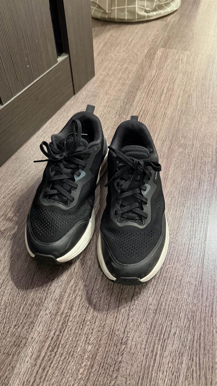 Anta
