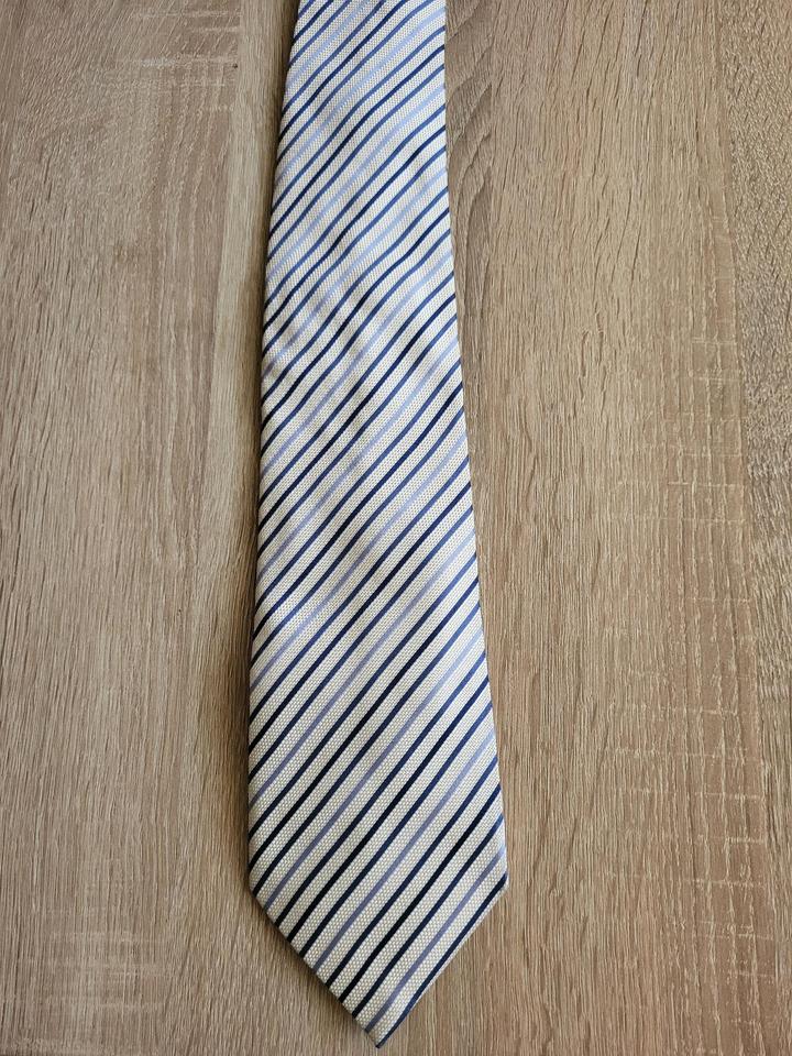 Salvatini