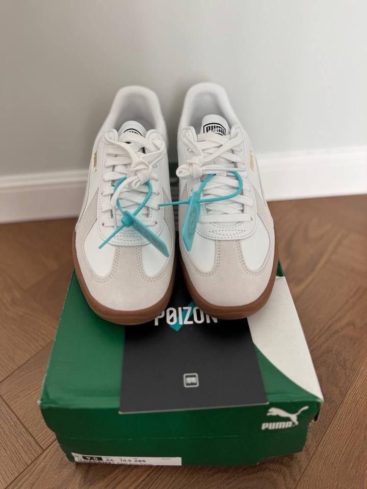 Puma