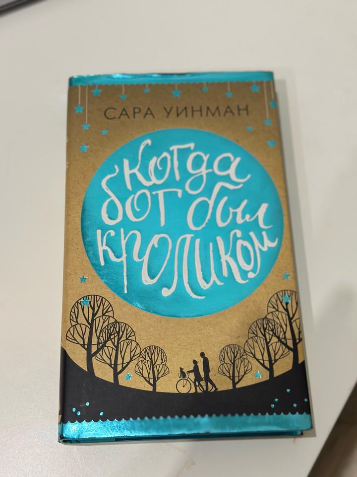 Книга «Когда бог был кроликом» Сара Уинман
