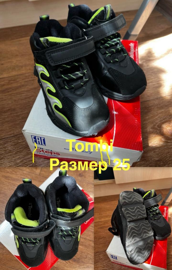 Tombi