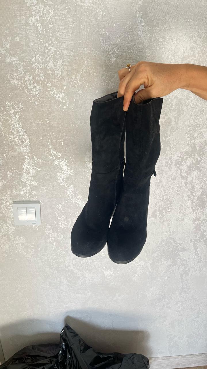 Сапоги Elisabetta Franchi