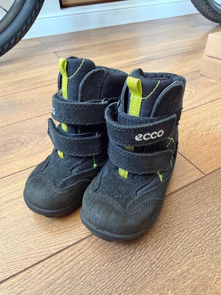 Зимние ботинки ecco